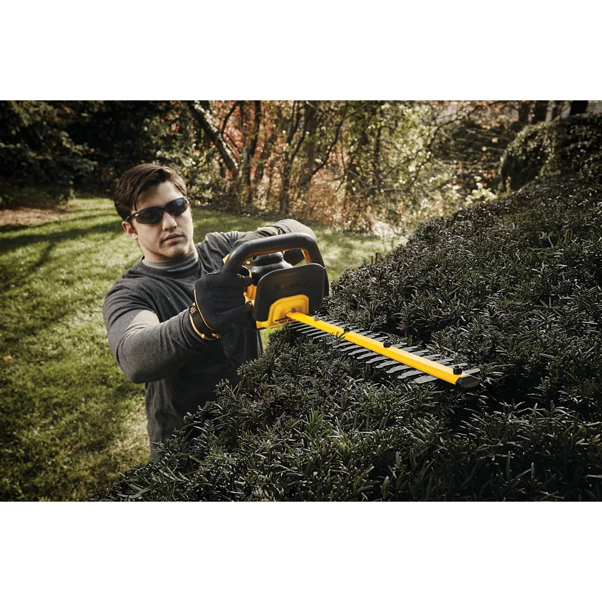 Aparador Cerca Viva 22" 20V MAX* Li-ion Brushless, sem Bateria e Carregador DeWalt — foto 5